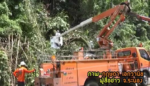 ระนอง – ฝนตกหนักต้นไม้ใหญ่โค่นทับสายไฟแรงสูงขาด ไฟดับกว่า 6 ชม.