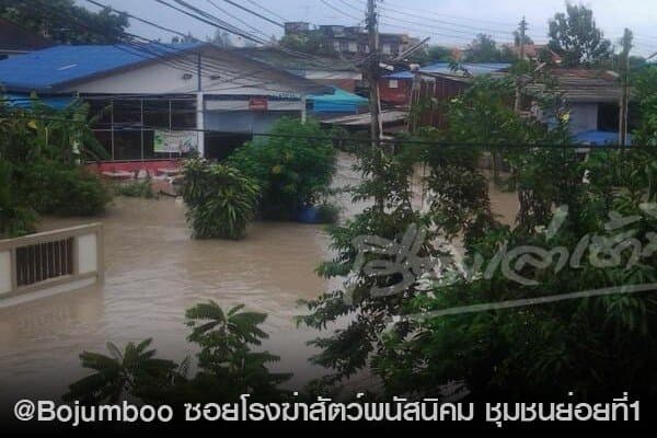 รวมภาพน้ำท่วมใหญ่ จ.ชลบุรี เย็นนี้ จาก แฟนข่าว