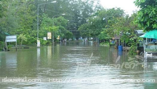 'พัทลุง'ฝนซัดต่อเนื่อง น้ำท่วมสูง50ซม. หวั่นดินถล่ม