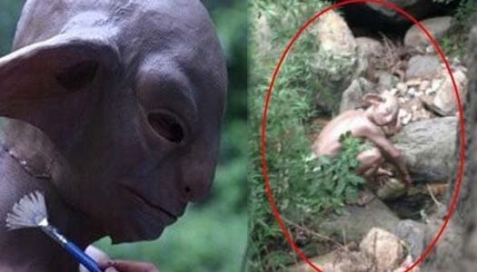 เงิบ! 'กอลลัม' โผล่กำแพงเมืองจีน ที่แท้แต่งหน้าถ่ายโฆษณา