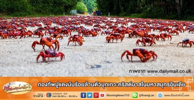 กองทัพปูแดงนับร้อยล้านตัวบุกเกาะคริสต์มาสในมหาสมุทรอินเดีย