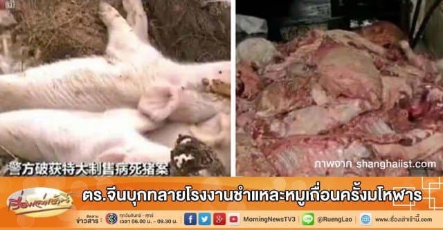 ตร.จีนบุกทลายโรงงานชำแหละหมูเถื่อนครั้งมโหฬาร