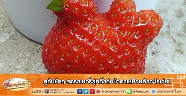 ดูกันชัดๆ สตรอเบอรี่สุดคิ้วท์หน้าตาเหมือนตัวอะไรเอ่ย?