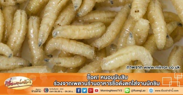 ช็อค! หนอนนับสิบ ร่วงจากเพดานร้านอาหารชื่อดังตกใส่จานนักชิม 