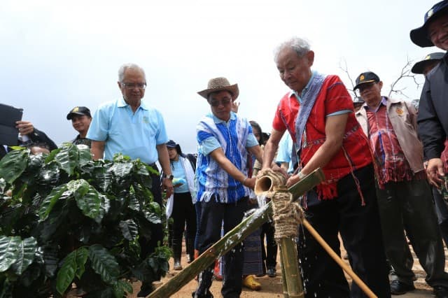กาแฟต้นแรกในระบบอนุรักษ์ดิน น้ำ ป่า ลงรากตั้งต้น ด้วยความร่วมมือระหว่างโครงการหลวง และ ปตท.