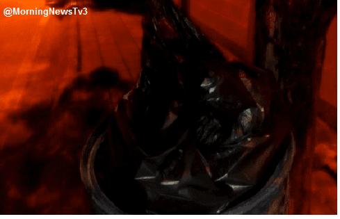 พบศพเด็กแรกคลอดถูกทิ้งกองขยะ ในโรงงานผลิตชุดชั้นในที่แม่สอด 