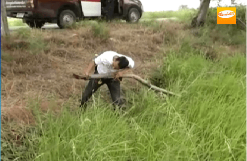 รองผู้การฯ โคราชเร่งสืบหาเบาะแสคนร้ายฆ่าชิงทรัพย์แม่ต่อหน้าลูกชายวัย 8 ปี พร้อมสั่งชุดสืบสวนจังหวัดลงพื้นที่ล่าตัวคนร้าย