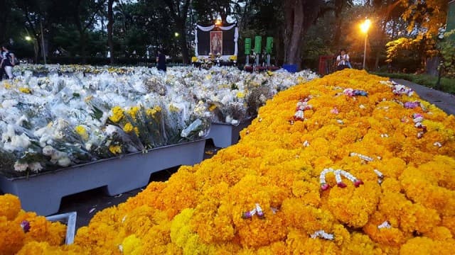 กทม.เผย จัดเก็บดอกไม้-พวงมาลัยรอบกำแพงพระบรมมหาราชวัง นำมาจัดเรียงหน้าพระบรมฉายาลักษณ์ที่สวนสราญรมย์ 