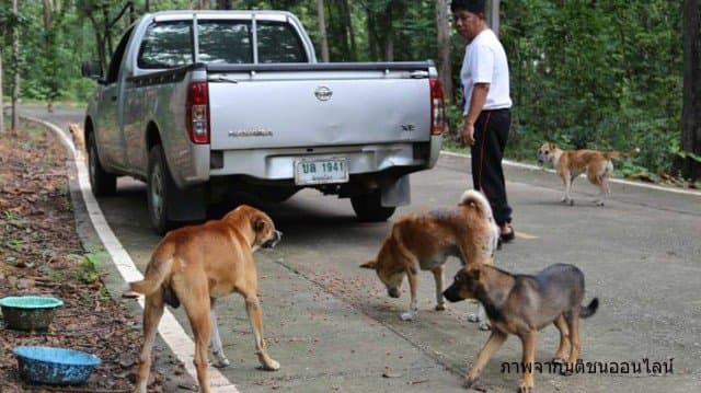 นักการเมืองใจบุญชาวพิษณุโลก ควักทุนตัวเองซื้ออาหารเลี้ยงสุนัขจรจัด พร้อมชวนผู้สนใจร่วมช่วยเหลือ