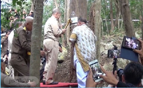  สำนักพระราชวังทำพิธีบวงสรวงลงขวานทองตัดไม้จันทน์หอม ที่อุทยานกุยบุรี เพื่อใช้ในงานพระบรมศพ