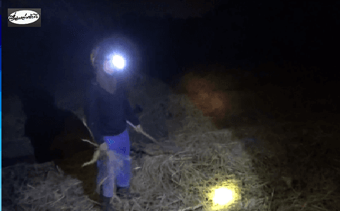  ชาวนากาฬสินธุ์แจ้งตำรวจ หลังพบคนร้ายแอบเข้ามาขโมยเกี่ยวข้าวในนา