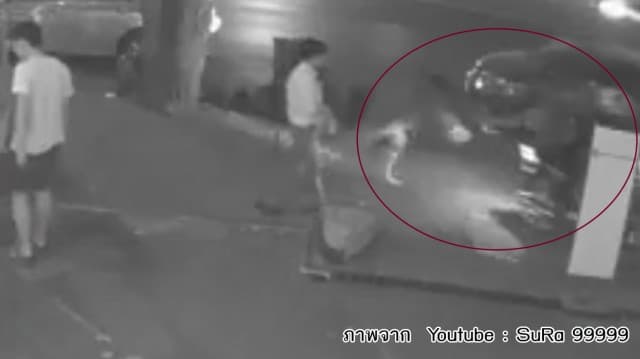 (คลิป) เตือนภัยย่านเกษตร คนร้ายขี่ จยย.ฉกกระเป๋า-ลากเหยื่อกองพื้นฟุตบาท