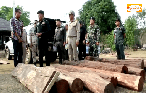 จนท.จับกุมขบวนการลักลอบขนไม้พะยูงในอุทยานแห่งชาติทับลาน ยึดของกลางมูลค่า 1 ล้าน