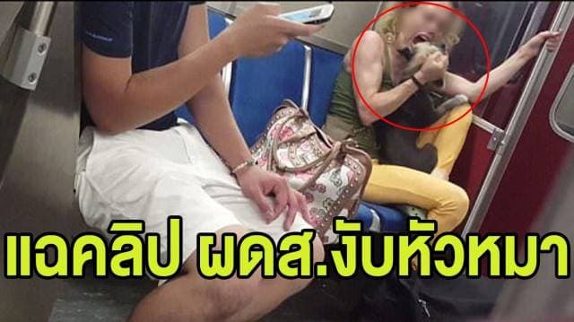 (คลิป) หญิงแคนาดาตี-กัด 'สุนัข' บนขบวนรถไฟ ทารุณสัตว์แบบไม่แคร์สายตาใคร