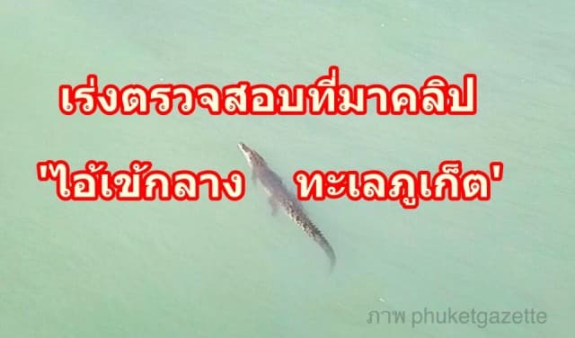 ผู้ว่าฯ เร่งตรวจสอบที่มาคลิป 'ไอ้เข้กลางทะเลภูเก็ต' พร้อมส่ง จนท.รุดตรวจสอบพื้นที่อ้างพบไอ้เข้. 