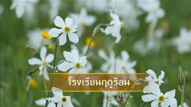 ย้อนความทรงจำกับสารคดีเสด็จฯ ประเทศสวิตเซอร์แลนด์ ตอนที่ 10 : โรงเรียนฤดูร้อน