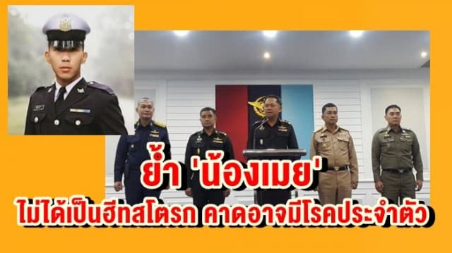 ผบ.ทหารสูงสุด ย้ำ"น้องเมย"ไม่ได้เป็นฮีทสโตรก คาดอาจมีโรคประจำตัว