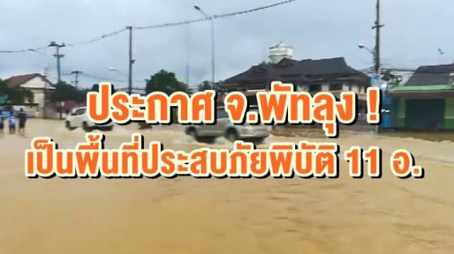 ประกาศ จ.พัทลุง เป็นพื้นที่ประสบภัยพิบัติแล้ว 11 อ. บางพื้นที่น้ำท่วมสูงเกือบ 2 เมตร