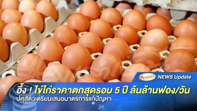 อึ้ง! ไข่ไก่ราคาตกต่ำสุดในรอบ 5 ปี ล้นตลาดนับล้านฟองต่อวัน ปศุสัตว์เตรียมเสนอมาตรการแก้ปัญหา