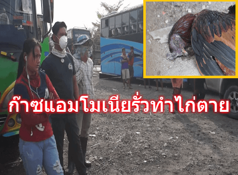 ช่างห้องเย็นเข้าไปเดนน้ำมันทิ้งลืมปิดวาวล์ ทำก๊าซแอมโมเนียรั่วไหล ชาวบ้านแสบตา-เจ็บคอ ไก่ตาย 5 ตัว