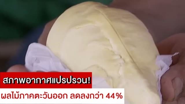 สภาพอากาศแปรปรวน! ทำผลไม้ภาคตะวันออกลดลงกว่า 44%