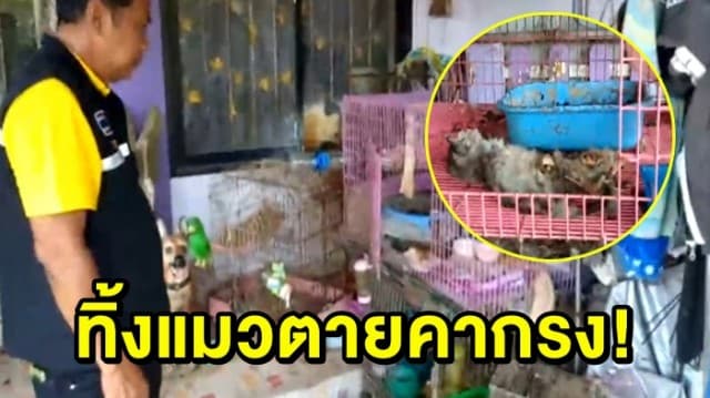 ครูถูกธนาคารยึดบ้าน ทิ้งหมา-แมว หิวโซ ตายคากรง 2 ตัว!	