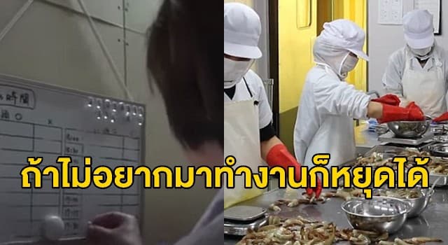 โรงงานญี่ปุ่นผุดนโยบายให้คนงานกำหนด 'วันหยุด' เองตามใจชอบ  