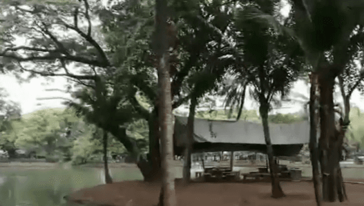 สั่งคุมเข้มสวนลุมฯ หลังทวิตเตอร์แชร์คนเข้าไปจับกลุ่มมีเซ็กซ์