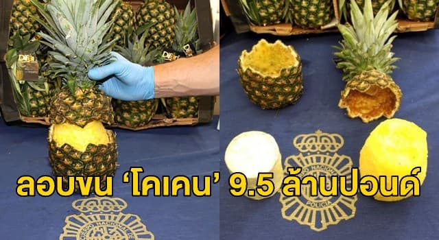 ตร.สเปนยึดสับปะรดยัดไส้ ‘โคเคน’ ล็อตมโหฬาร หนัก 67 กก. กลางตลาดในเมืองหลวง