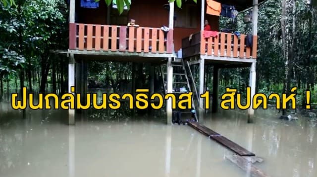  ฝนถล่มนราธิวาส 1 สัปดาห์ 13 อำเภอ ได้รับผลกระทบเต็มๆ แม่น้ำสายหลักจ่อล้นตลิ่ง เสี่ยงน้ำท่วม