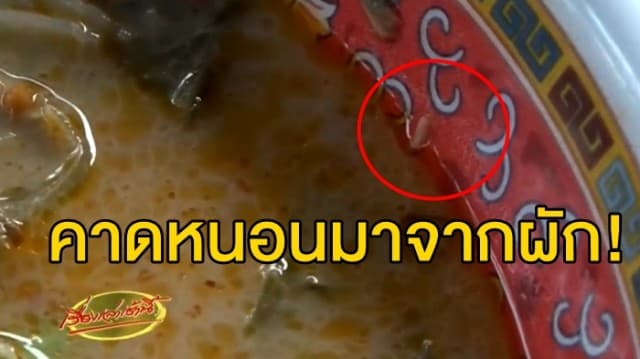  สาธารณสุขฯ ลงตรวจร้านขนมจีน หลังสาวโพสต์เจอหนอนไต่ยั๊วเยี้ย คาดหนอนมาจากผัก ย้ำไม่มีอันตราย 