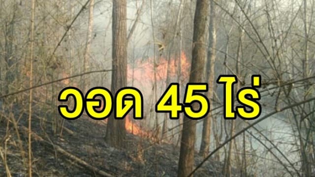 ไฟป่าลำปางยังวิกฤต! ไฟไหม้ป่าดอยพระบาทวอด 45 ไร่ เร่งระดมสกัดเพลิงนาน 6 ชม.