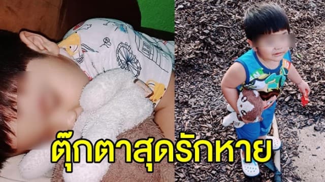 สงสารลูกชาย! พ่อโพสต์หา ‘ตุ๊กตาแมว’ หลังหล่นหาย ร้องถามหาไม่ยอมนอน ใครเจอรับ 5 พัน