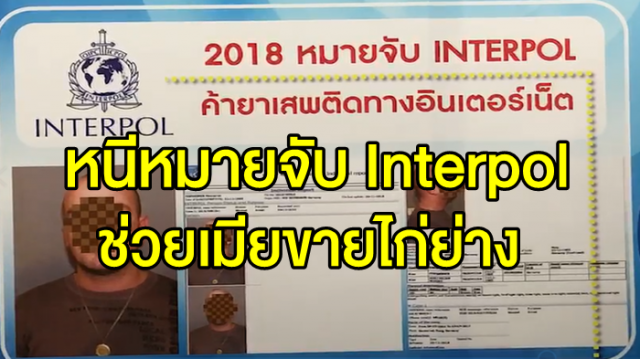 ตม.รวบหนุ่มเยอรมันหนีหมายจับ Interpol หลังสื่อโซเชียลแห่ชื่นชมช่วยเมียไทยขายไก่ย่าง 