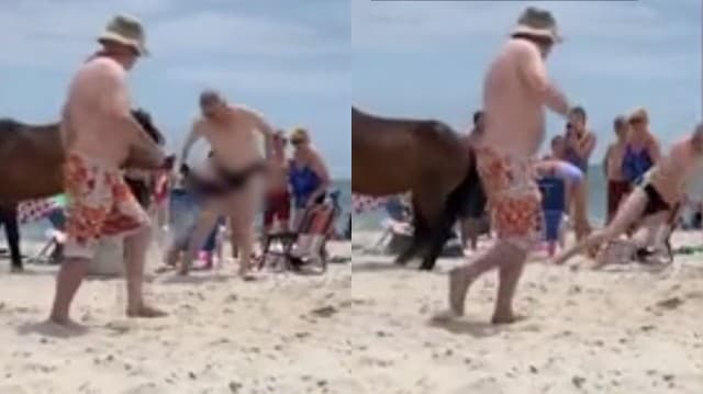 คลิปจุกๆ! ชายอยากเล่นกับม้า แต่ม้าไม่เล่นด้วย ส่งขาหลังดีดเข้าเป้าเต็มๆ