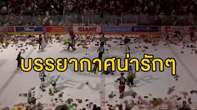 แฟนฮอกกี้ 'เฮอร์ชีย์ แบร์' กระหน่ำปาตุ๊กตาหมีลงสนาม