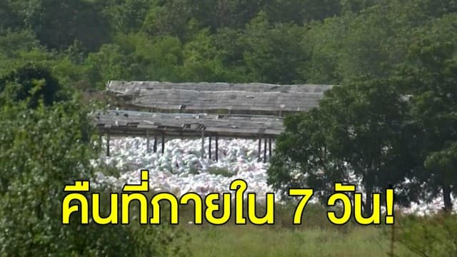 ส.ป.ก.ขีดเส้น 7 วัน 'ปารีณา' คืนที่ดินรุกป่า 682 ไร่ 