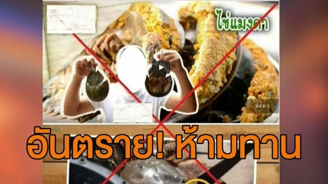 'อ.เจษฎา' เตือนแมงดาถ้วย เมนูอันตราย มีพิษอาจถึงแก่ชีวิต หลังยูทูบเบอร์ช่องดังโชว์ทำอาหาร