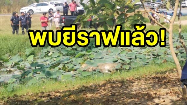 พบแล้ว! ยีราฟหลุดวิ่งเตลิดหาย ล่าสุดพบศพจมบ่อน้ำตามคาด