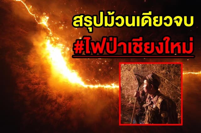 ไฟป่าเสียงกรีดร้องจากพงไพรที่ปลิวเงียบไปกับเถ้าธุลี