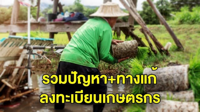 รวมปัญหา และทางแก้ ลงทะเบียนเกษตรกร ตรวจสอบสถานะเกษตรกร ไม่พบข้อมูล ต้องทำอย่างไร