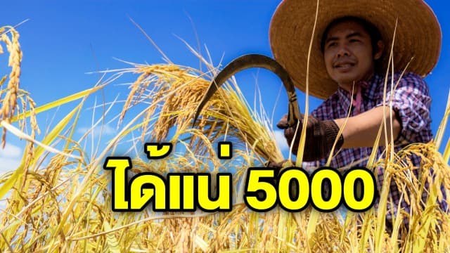 ธ.ก.ส. พร้อมโอนเงินเยียวยา 5,000 บาท 3 เดือน แก่เกษตรกรที่ขึ้นทะเบียน 10 ล้านราย