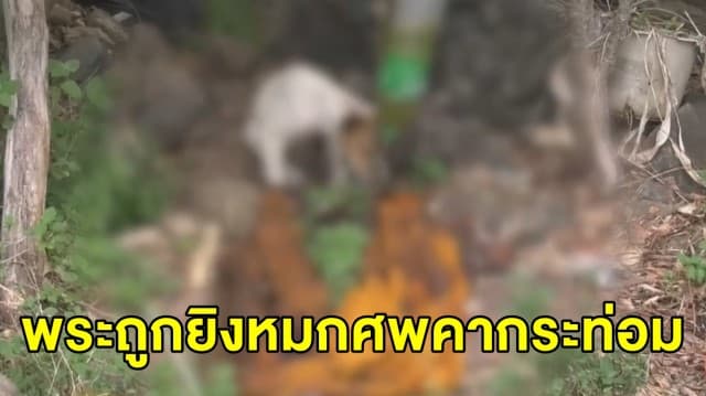 ชาวบ้านผงะ! นำอาหารเตรียมถวายพระ กลับพบเป็นศพหมกคากระท่อมกลางป่า