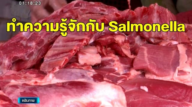 ทำความรู้จักกับ Salmonella แบคทีเรียที่ตรวจพบในขนมจีบมรณะ พร้อมเผยปัจจัยที่ส่งผลต่อการติดเชื้อ