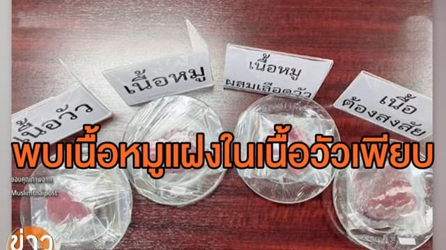 ปคม.เตรียมลุยตรวจเนื้อหมูแฝงในเนื้อวัว พบระบาดหนักทั่วกรุงเทพฯ