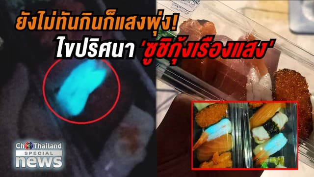 ไขปริศนา 'ซูชิกุ้งเรืองแสง' เกิดจากอะไร-กินได้หรือไม่?