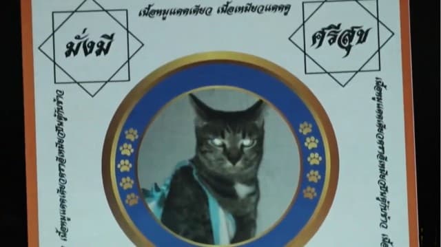 เปิดใจเจ้าของ เนื้อหมูแดดเดียว ตรา #อีเหมียวปีนตู้กับข้าว วัยรุ่นนักครีเอท สร้าง content สุดฮา ดันยอดขายถล่มทลาย