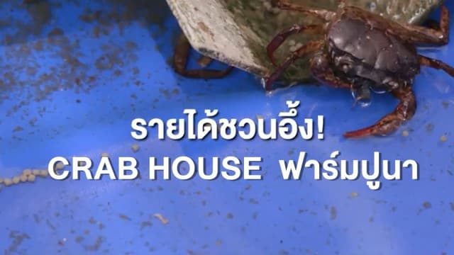 CRAB HOUSE สอนเลี้ยง 'ปูนา' สร้างรายได้เป็นกอบเป็นกำ