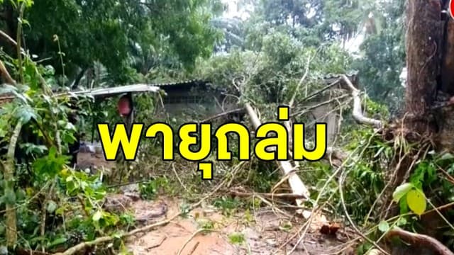 พายุถล่ม ทำต้นไม้ล้มทับบ้าน - เขื่อนลำตะคอง ปล่อยน้ำรองรับพายุ 'โมลาเบ'