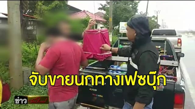 หนุ่มเลิกเลี้ยงนกกรงหัวจุก โพสต์ขายทางเฟซบุ๊ก ถูก จนท.รวบ ผิดค้าสัตว์ป่าคุ้มครอง  